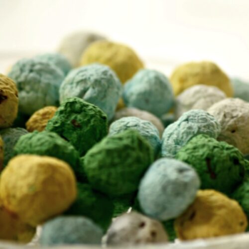 Forme e bombe di semi