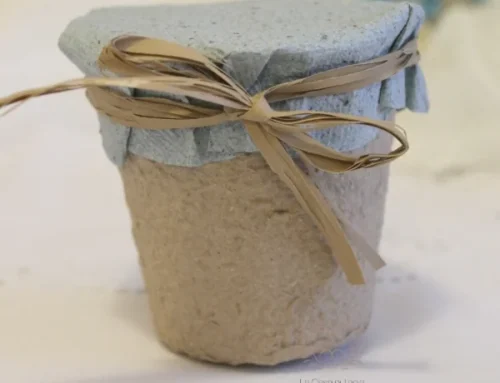 SeMiPianti -VERSIONE CON BULBO