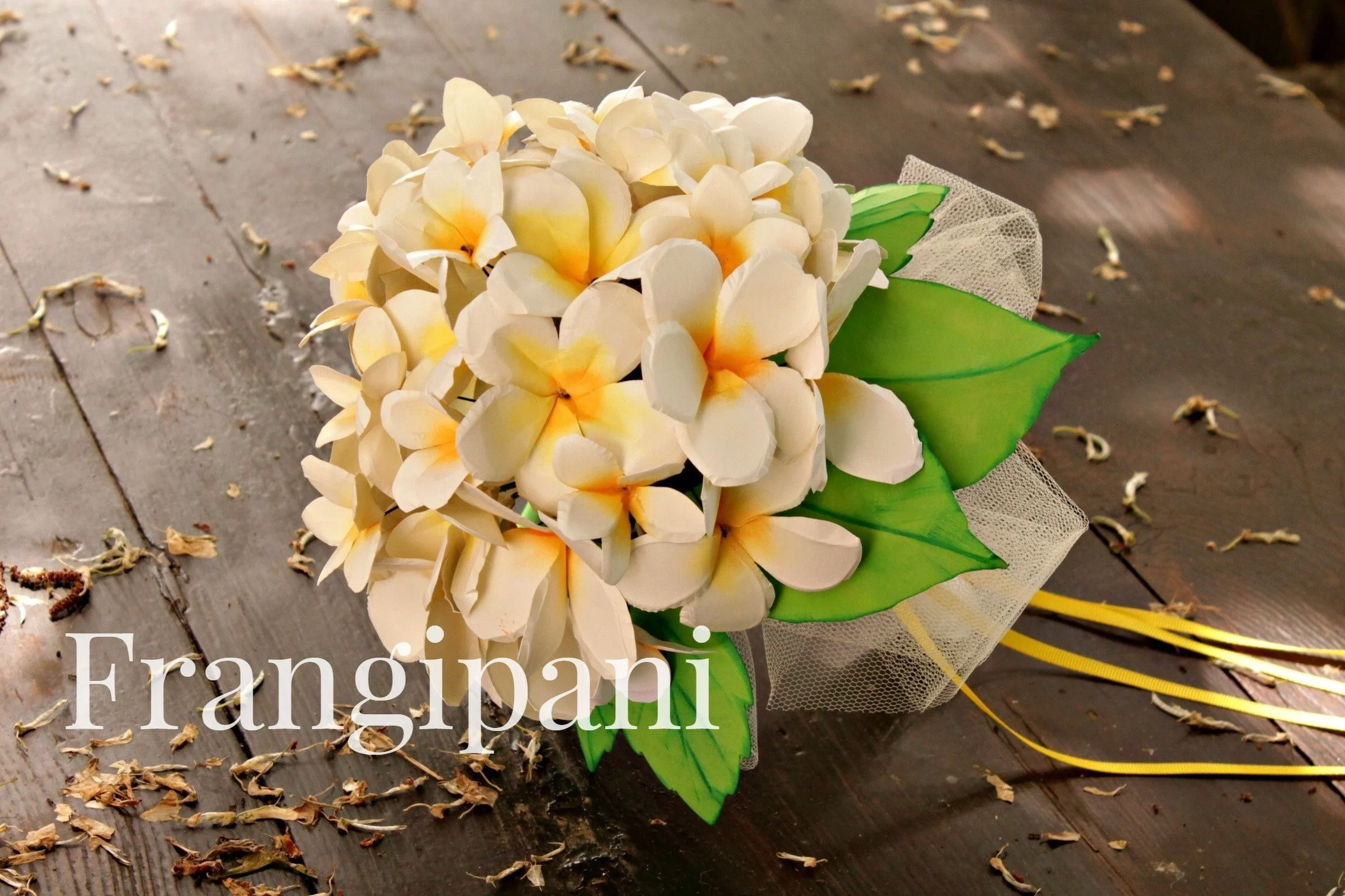 Frangipanigallery