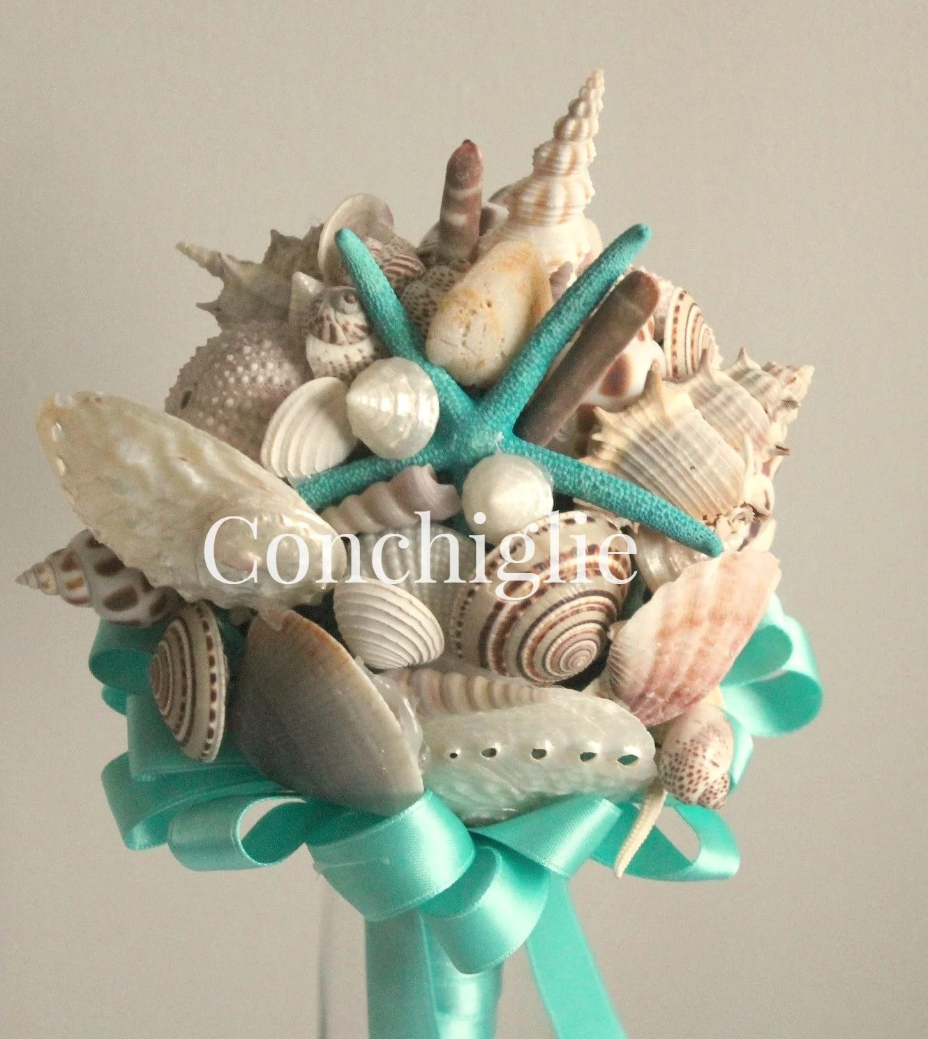 conchiglie
