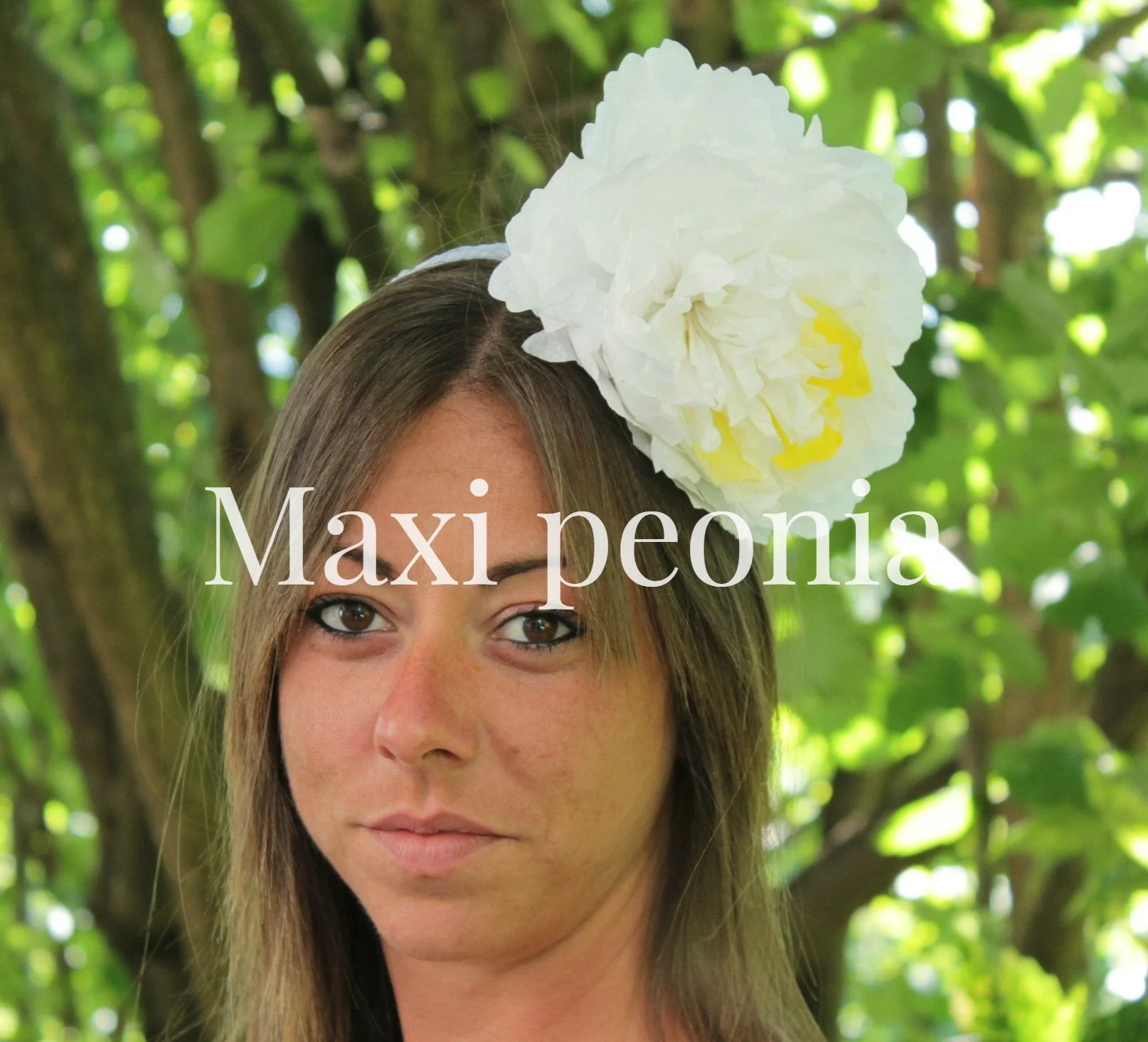 maxipeonia