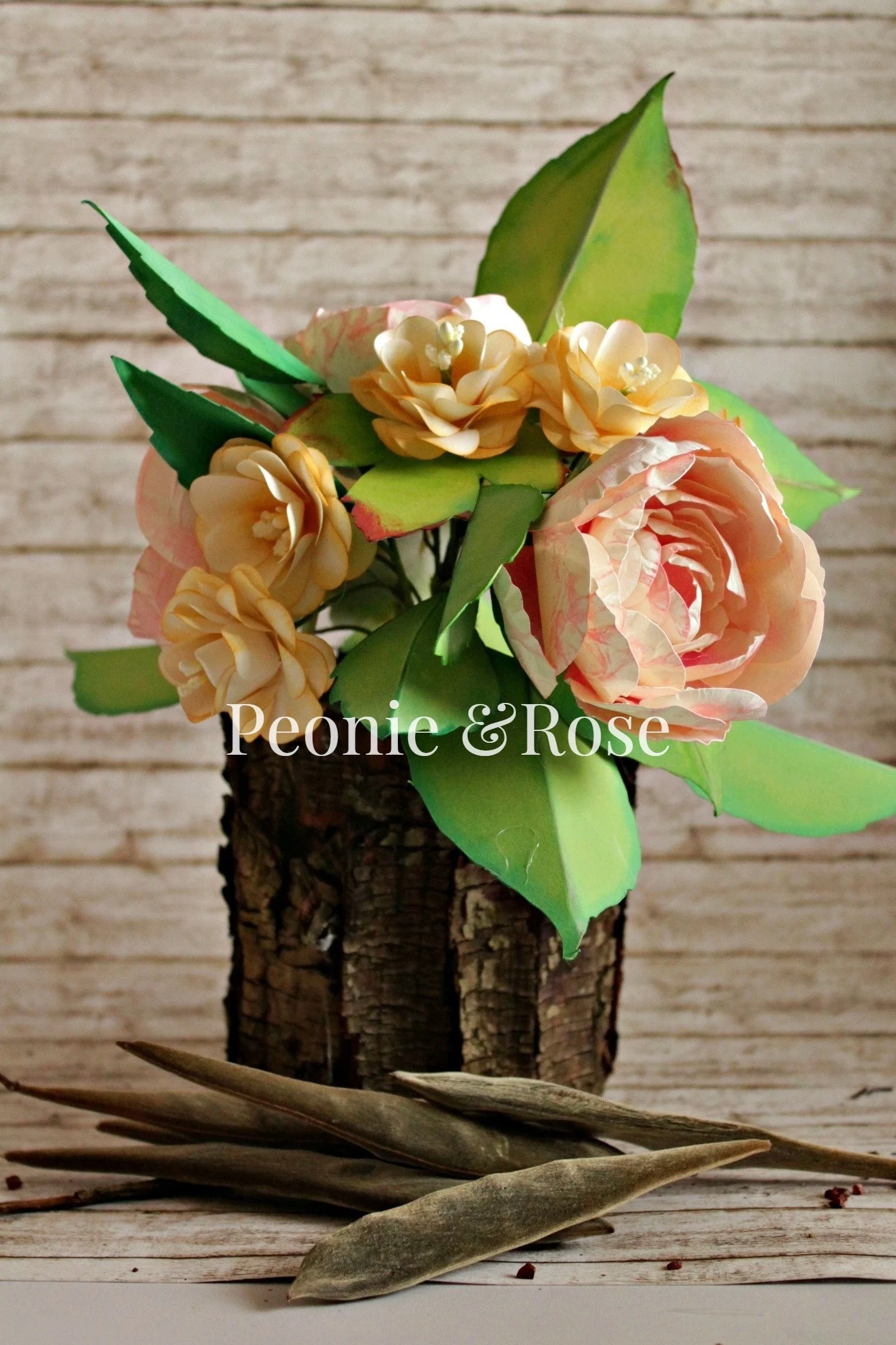 peonieerose