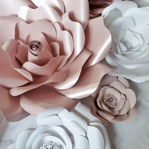 FIori giganti & Allestimenti