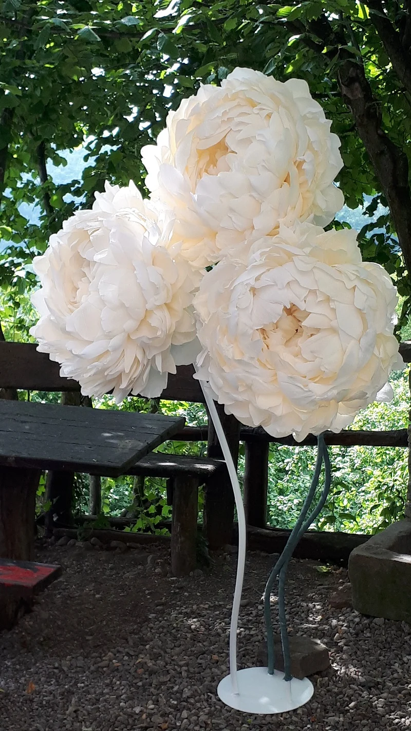 PHOTO_20190609_165659-01