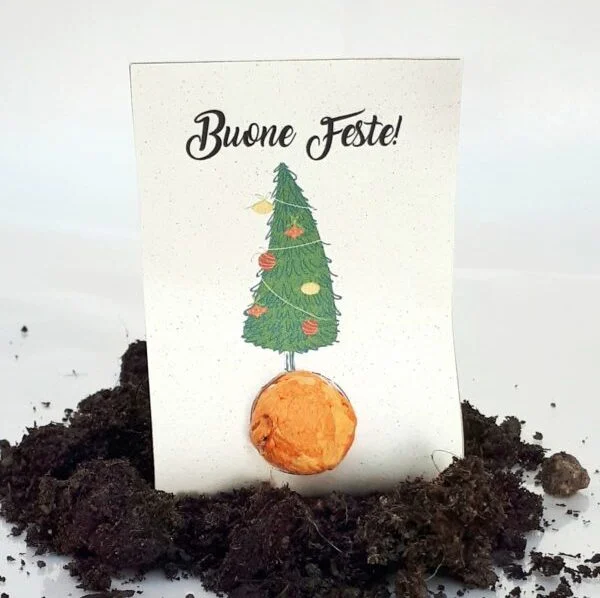 blister bomba di semi natalizio -panna-