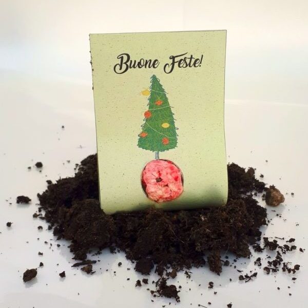 gadget natalizio:blister con bomba di semi