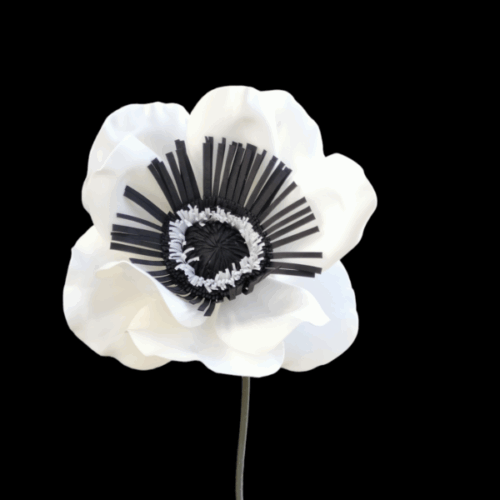 anemone gigante in gomma