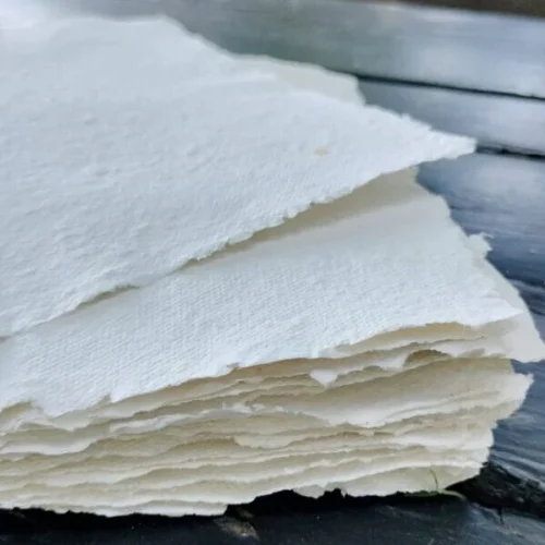 Carta NON seminabile