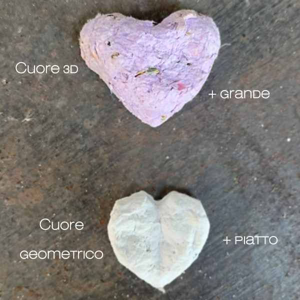cuore seminabile geometrico
