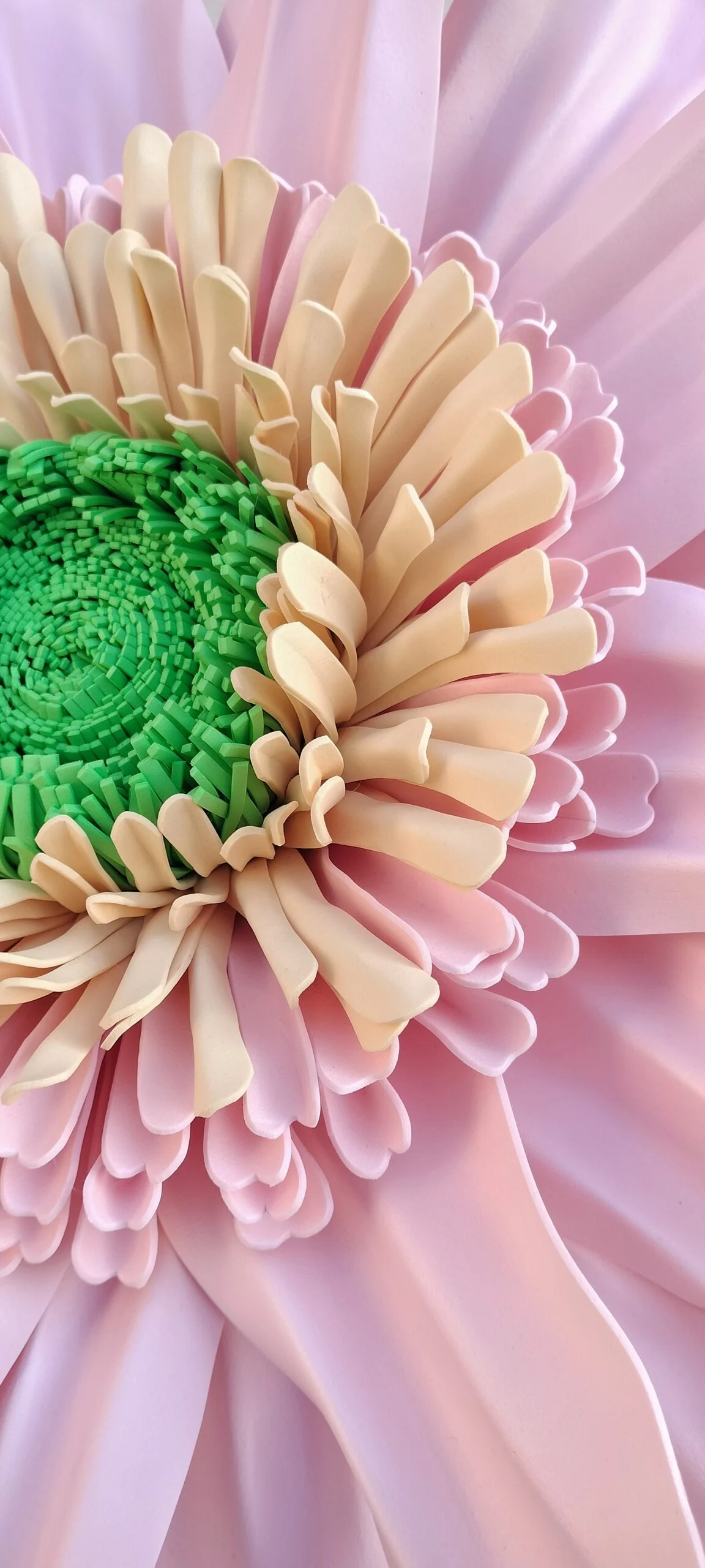 dettaglio gerbera gigante in gomma