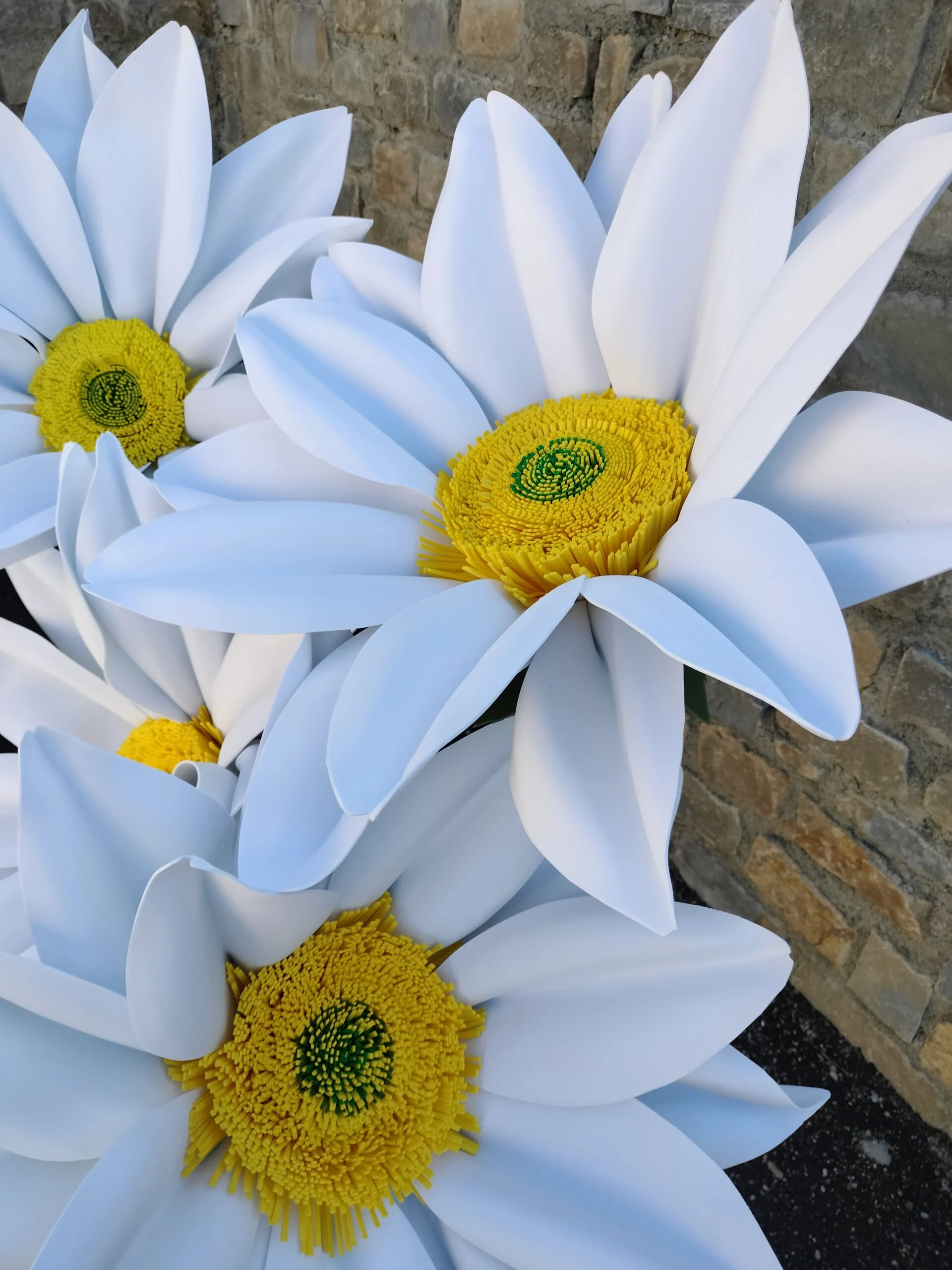 Margherita Gigante in Gomma Noleggio