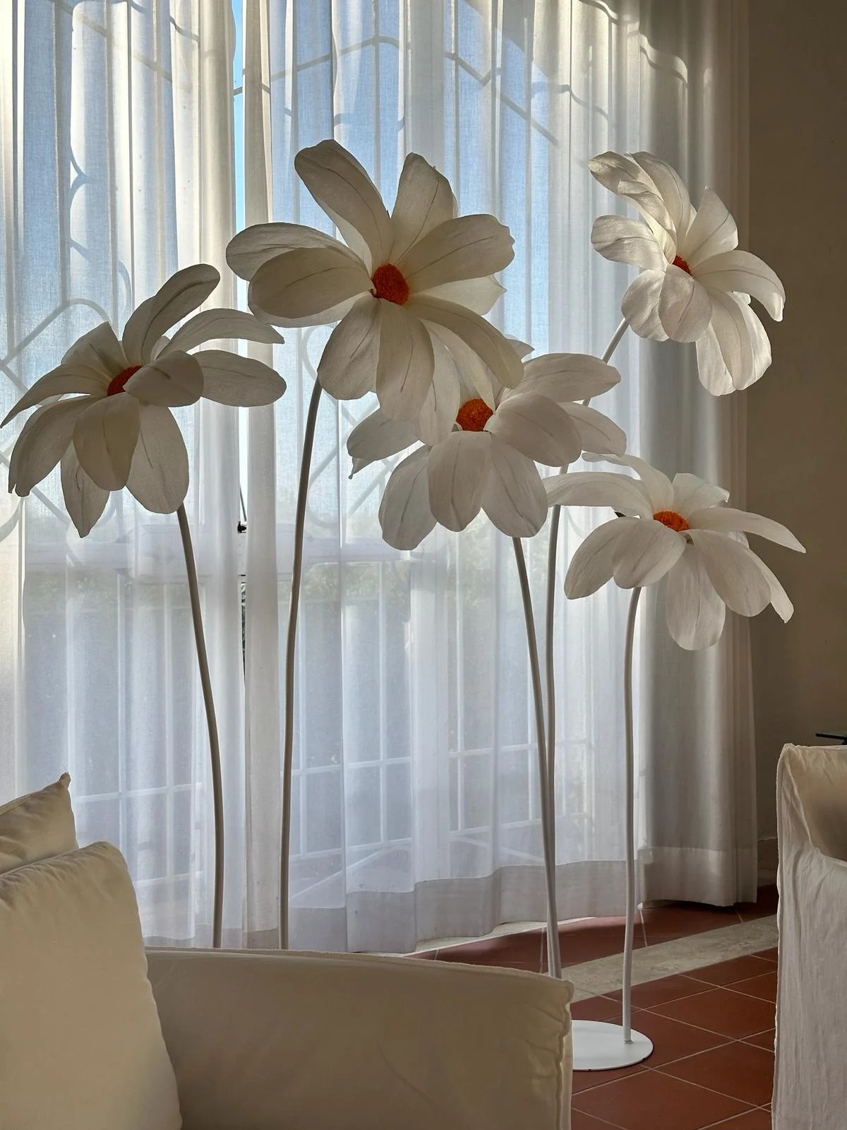 daisygiantflower
