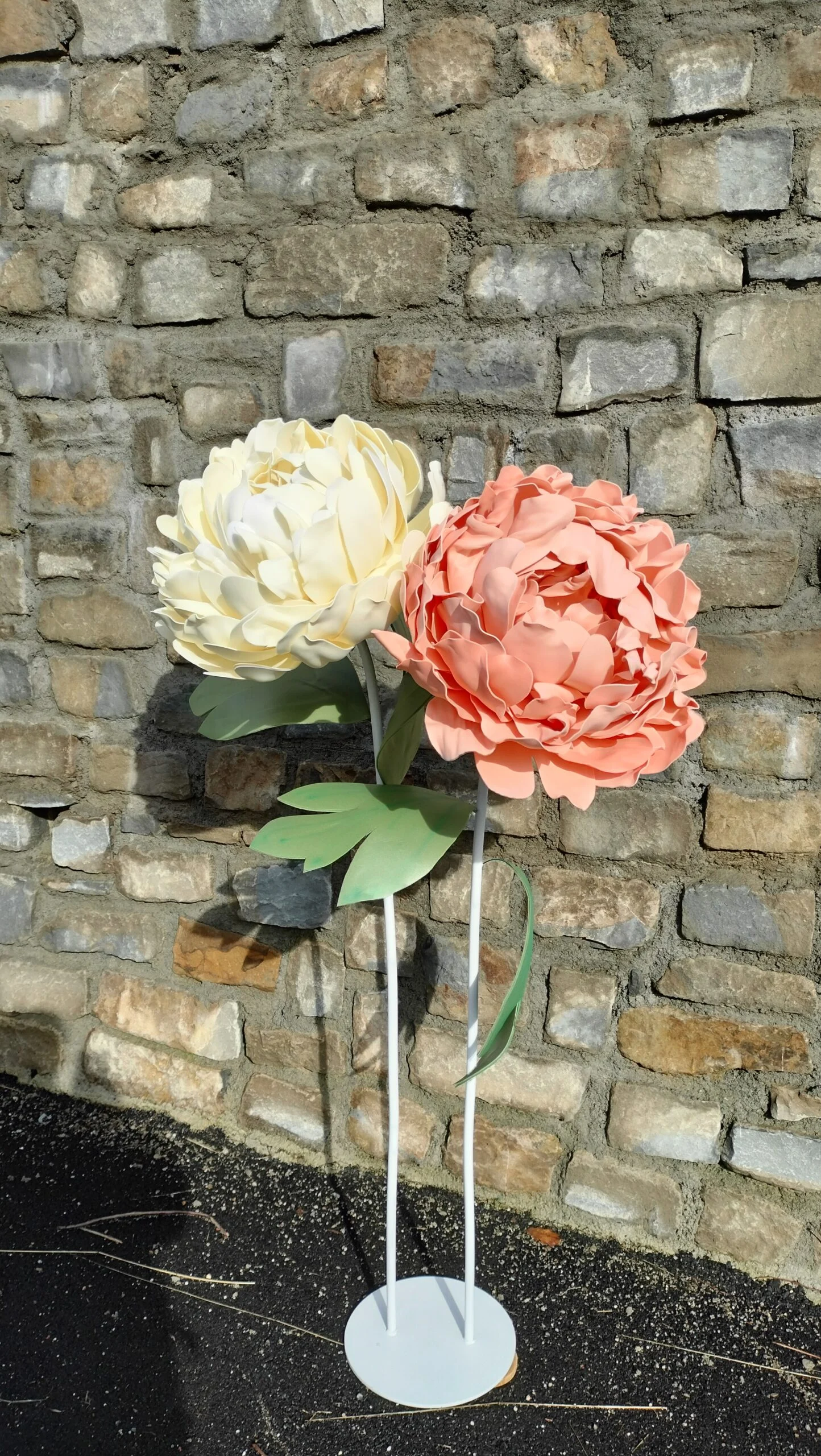 Peonia Gigante in Gomma Noleggio