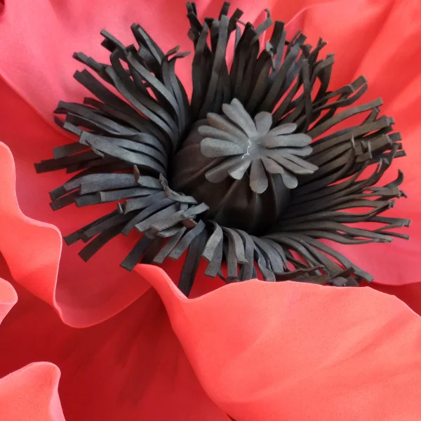 Papavero Gigante in Gomma Noleggio