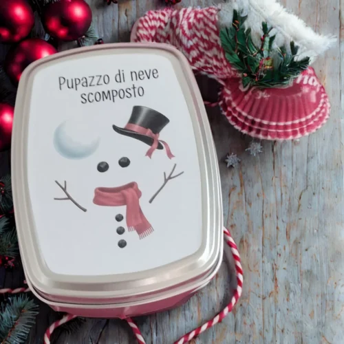 scatola in latta con pupazzo di neve e bombe di semi
