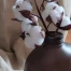 ramo fiore di cotone in carta