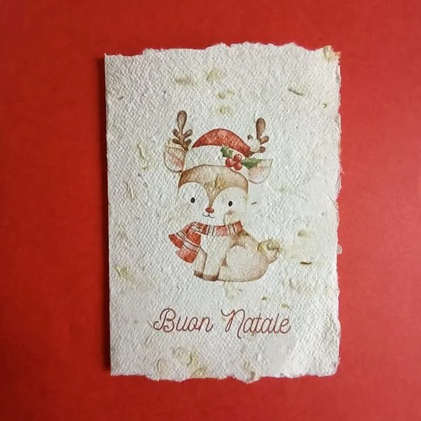 Biglietto di Natale seminabile - immagine 5